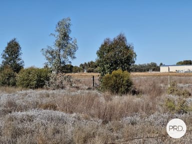 Property lot 2, 407 Yelta Road, Merbein West VIC 3505 IMAGE 0