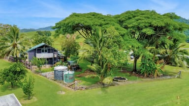 Property 2567 Innisfail Japoon Rd, Japoonvale QLD 4856 IMAGE 0