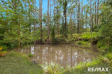 Property 119 Delicia Road, MAPLETON QLD 4560 IMAGE 0