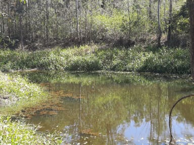 Property 1895 Gaeta Rd, Gaeta QLD 4671 IMAGE 0