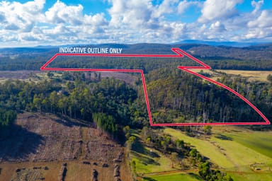 Property 183 Shaws Rd, BRIDGENORTH TAS 7277 IMAGE 0