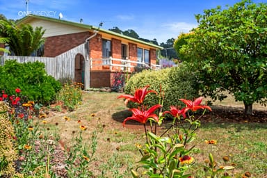 Property 28 Farquhar Place, Kindred TAS 7310 IMAGE 0