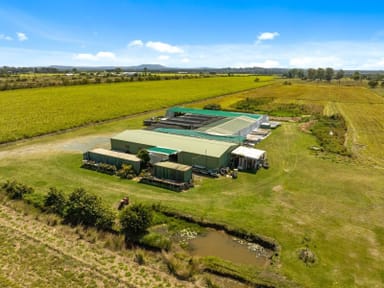 Property 113 Zipfs Road, Alberton QLD 4207 IMAGE 0