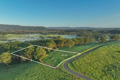 Property Lot 103 E299A Princes Highway (via Milton), Yatte Yattah NSW 2539 IMAGE 0