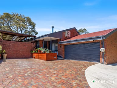 Property 19 Australis Close, Langwarrin VIC 3910 IMAGE 0