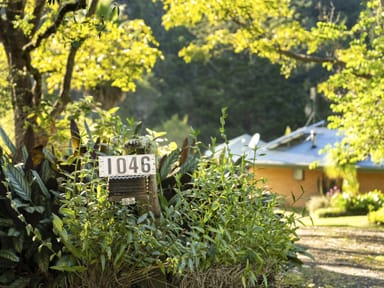 Property 1046 South Arm Road, BELLINGEN NSW 2454 IMAGE 0