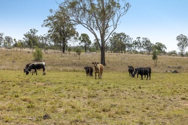 Property 608 Mountain Maid Road, Greymare QLD 4370 IMAGE 0