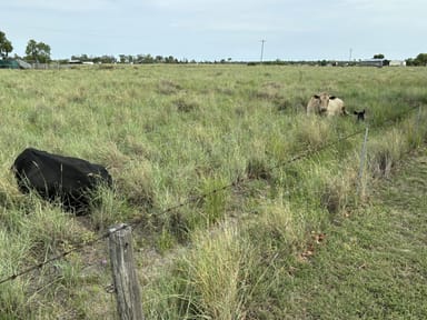 Property 52 Polo Rd, Goondiwindi QLD 4390 IMAGE 0