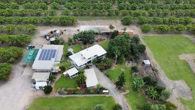 Property 232-240 Bartlett Road, HORSESHOE LAGOON QLD 4809 IMAGE 0