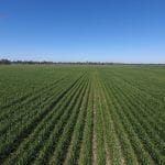 Property 36ML Water, Millmerran QLD 4357 IMAGE 0