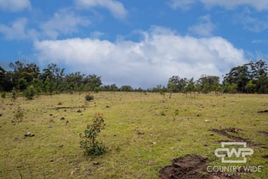 Property 93, 470 Silent Grove Road, TORRINGTON NSW 2371 IMAGE 0