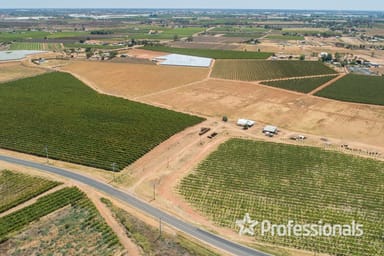 Property Lot 2 Twentieth Street, Cardross VIC 3496 IMAGE 0