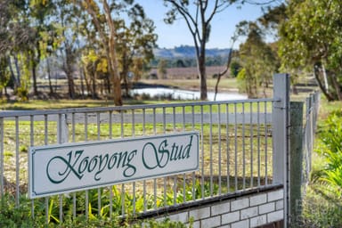 Property 144 Reservoir Road, HARCOURT VIC 3453 IMAGE 0