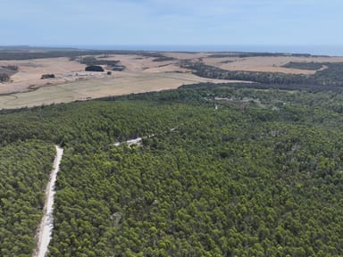 Property 3, Red Rd, WEYMOUTH TAS 7252 IMAGE 0