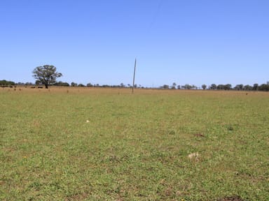 Property Lot 1, 488 Bengworden Road, BAIRNSDALE VIC 3875 IMAGE 0