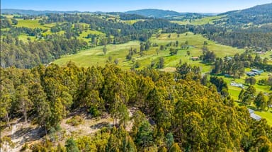 Property 142448/1 Lakeside Drive, ACACIA HILLS TAS 7306 IMAGE 0