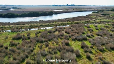 Property 8102 South Gippsland Highway, Alberton VIC 3971 IMAGE 0