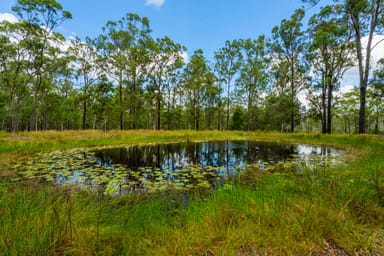 Property 1245 Bidwill Road, MAGNOLIA QLD 4650 IMAGE 0