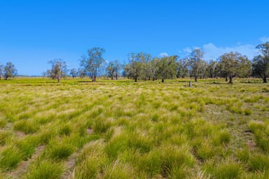 Property 232 Sutherlands Lane, Bellimbopinni NSW 2440 IMAGE 0