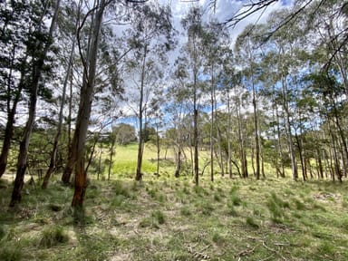 Property 2 Wilson Lane, MAJORS CREEK NSW 2622 IMAGE 0