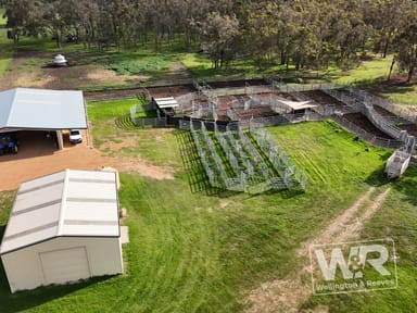 Property Lot 3 Albany Highway, Narrikup WA 6326 IMAGE 0