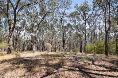 Property 970 Buttermans Track, Christmas Hills VIC 3775 IMAGE 0