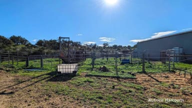 Property 249 Nabaroo Road, Cowalla WA 6503 IMAGE 0