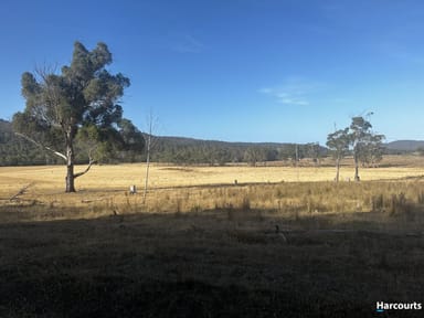 Property Lot 1, Rosedale Road, BICHENO TAS 7215 IMAGE 0