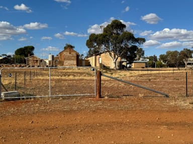 Property 201, West Terrace, Carrieton SA 5432 IMAGE 0