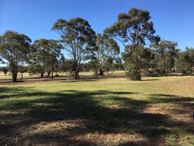 Property CA 40 – 41 Calder Highway, Wedderburn VIC 3518 IMAGE 0