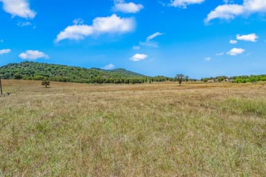 Property Lot 2, 1615 Mirannie Road, Singleton NSW 2330 IMAGE 0