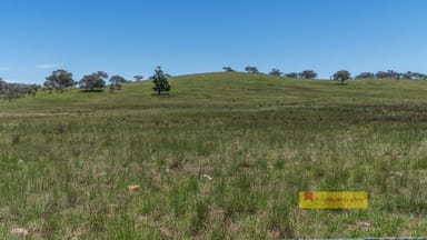 Property 735 Kaludabah Road, Mudgee NSW 2850 IMAGE 0