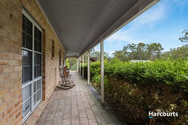 Property 1149 Old Maitland Road, Sawyers Gully NSW 2326 IMAGE 0