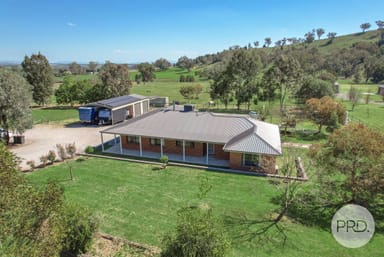 Property 175 Martins Lane, PIALLAMORE NSW 2340 IMAGE 0