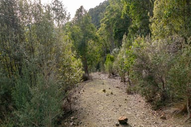 Property 1, Judds Creek Road, JUDBURY TAS 7109 IMAGE 0