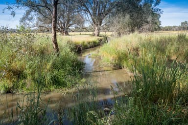 Property CA29A Baddaginnie-Benalla Road, Baddaginnie VIC 3670 IMAGE 0