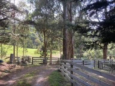 Property 250 Woomera Creek Rd, TOORA NORTH VIC 3962 IMAGE 0