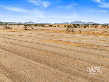 Property 439 View Range Road, Kendenup WA 6323 IMAGE 0