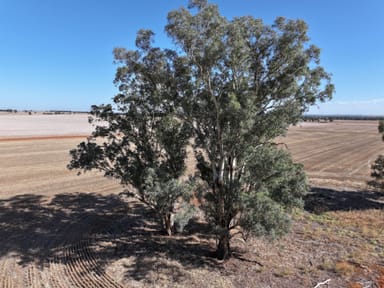 Property ' The Pines'  57 Walshs Lane, BERRY JERRY NSW 2701 IMAGE 0