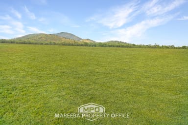 Property 3225 Mareeba-Dimbulah Road, MUTCHILBA QLD 4872 IMAGE 0