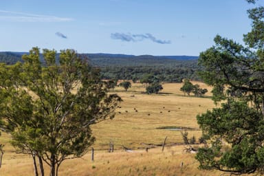 Property 1872 Reedy Creek Road, Tenterfield NSW 2372 IMAGE 0