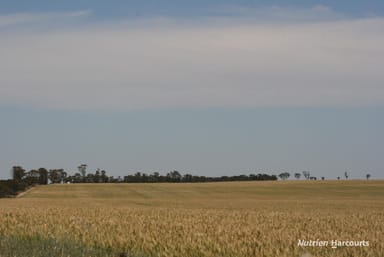 Property . Cnr Nembudding South Road & Hammond Road, KORRELOCKING WA 6485 IMAGE 0