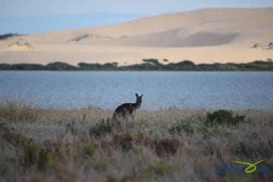 Property 8033 Princes Highway, Coorong SA 5264 IMAGE 0