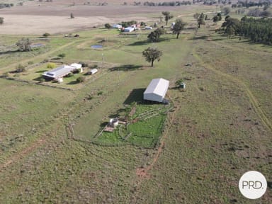 Property 1157 Coonabarabran Road, Mendooran NSW 2842 IMAGE 0