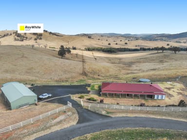 Property 210 Sharps Creek Road, Adelong NSW 2729 IMAGE 0