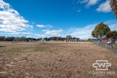 Property 5 Martin Drive, BLACK MOUNTAIN NSW 2365 IMAGE 0