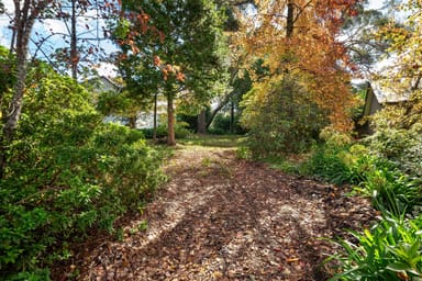 Property 10 Evans Lookout Road, Blackheath NSW 2785 IMAGE 0