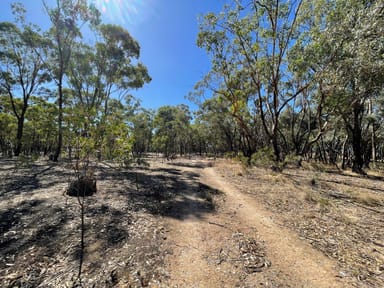 Property Carapooee Road Carapooee Road, St Arnaud East VIC 3477 IMAGE 0