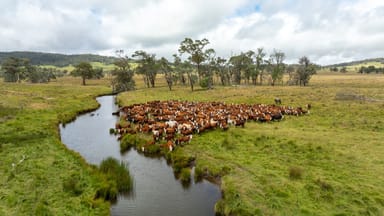 Property 'Dunvegan', 161 Nine Mile Road, DUNDEE NSW 2370 IMAGE 0