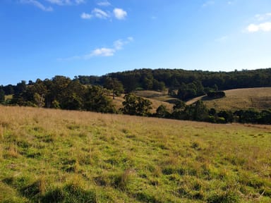 Property Lot 5 Wallace Road, CYGNET TAS 7112 IMAGE 0